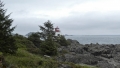 P1010566