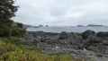 P1010571