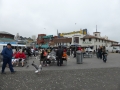 P1050618.jpg