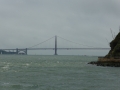 P1050742.jpg