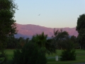 P1060015.jpg